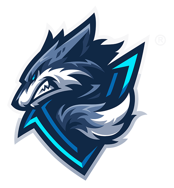 VSPRTN Gaming