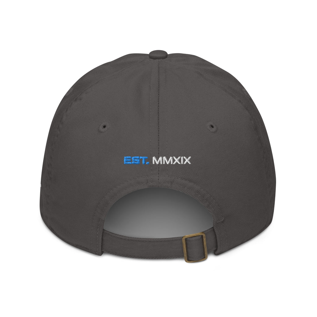 VSPRTN - Back & Better Cap